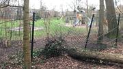 Gevalletje stormschade